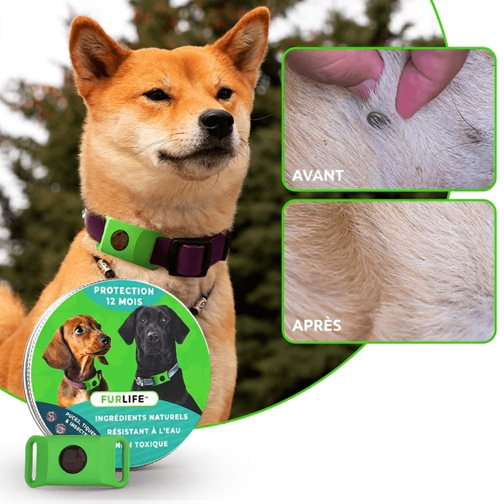 FurLife™ 12 mois sans puces ni tiques